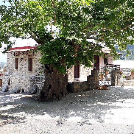 Traditional House Koukounara Kissamos Exterior photo